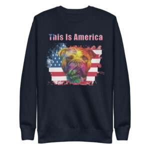 This Is America Unisex Premium Sweatshirt